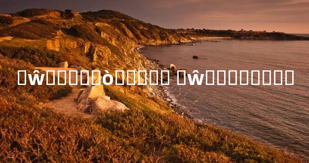 �ŵ�����ò����� �ŵ��뼪�׽���